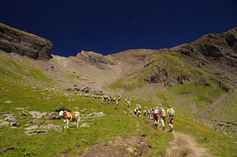 24h Hike Mammut_Ochsner 'Grosse Scheidegg _ Schwarzhorn 2927m' 18_08_2012 (135).JPG